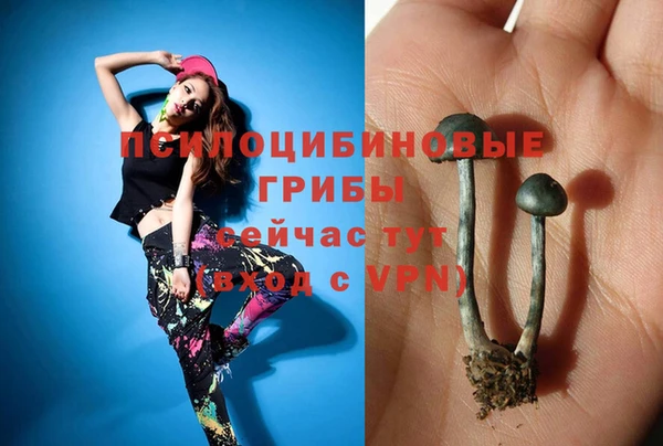 Альфа ПВП Ельня