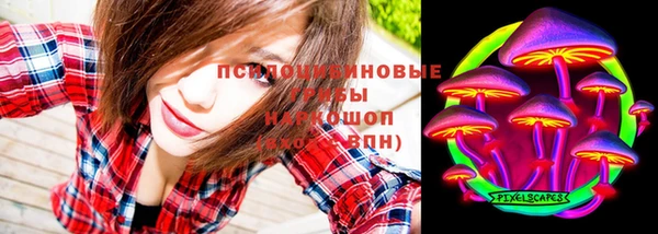 спайс Елизово