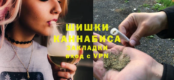 Альфа ПВП Ельня