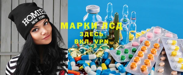 бошки Елабуга